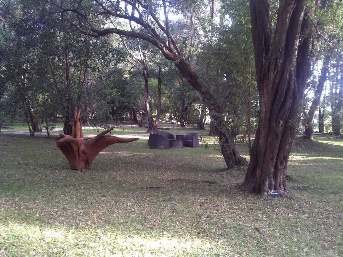 Mara River Camp Aitong Ngoại thất bức ảnh